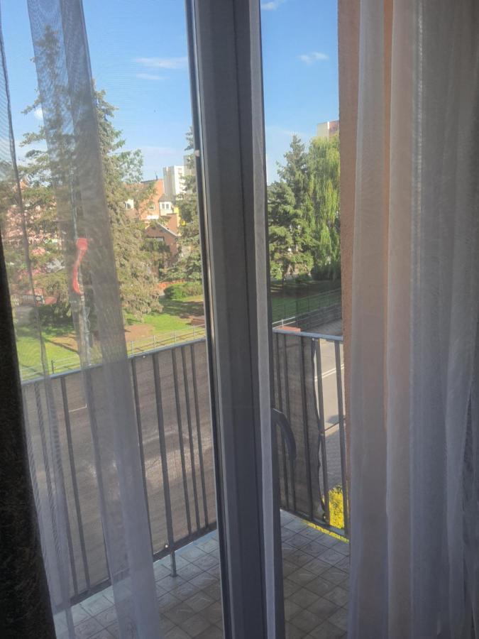 Апартаменти Apartament Nad Fontanna Мальборк Екстер'єр фото